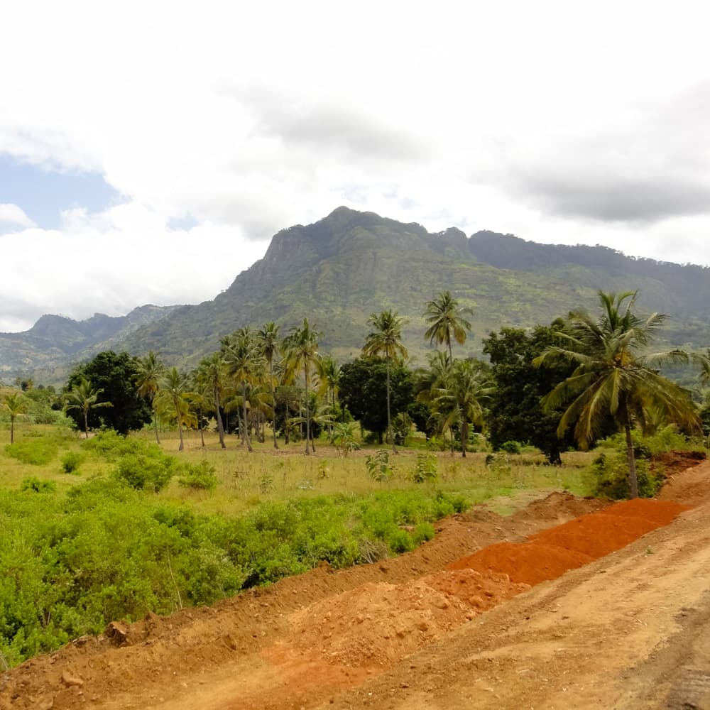 Usambara Mountains — 