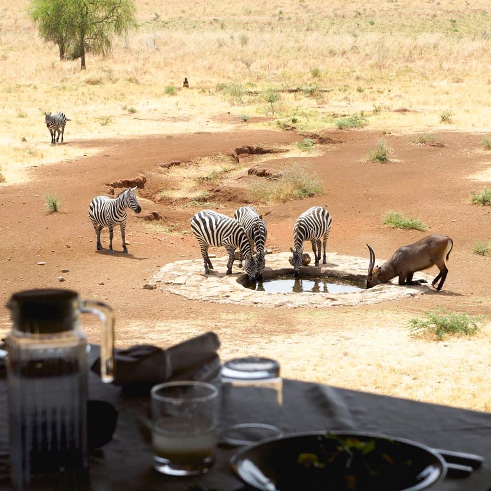 Apoka Safari Lodge — Uganda, Africa