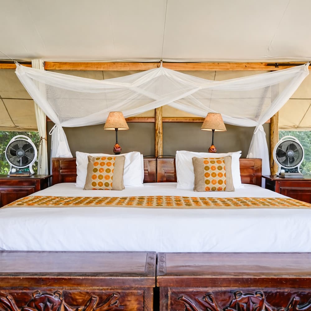 Ishasha Wilderness Camp — 