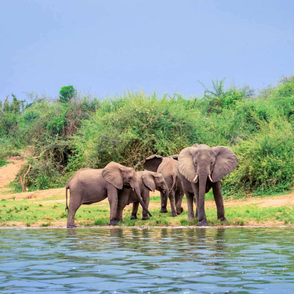 Kazinga Channel — Uganda, Africa