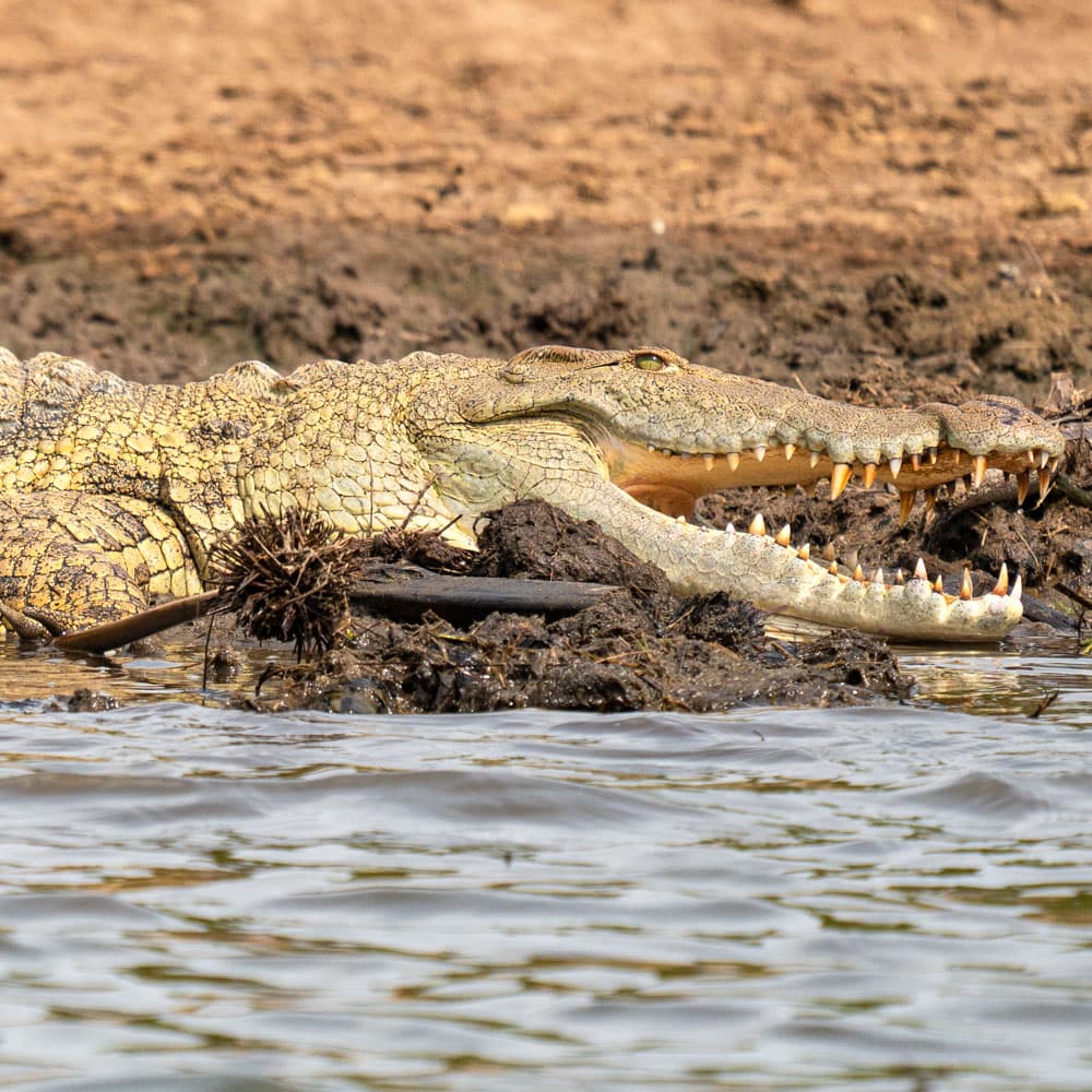 Kazinga Channel — 