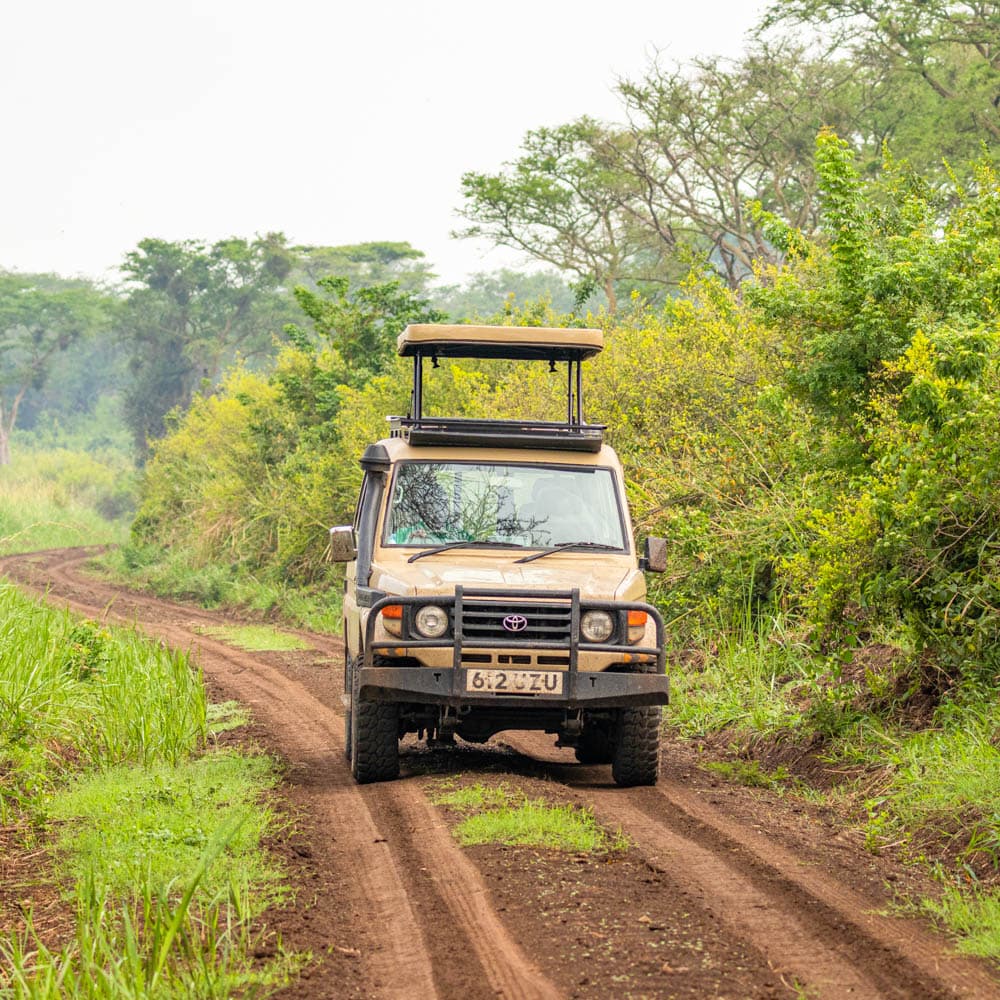 Queen Elizabeth National Park — 