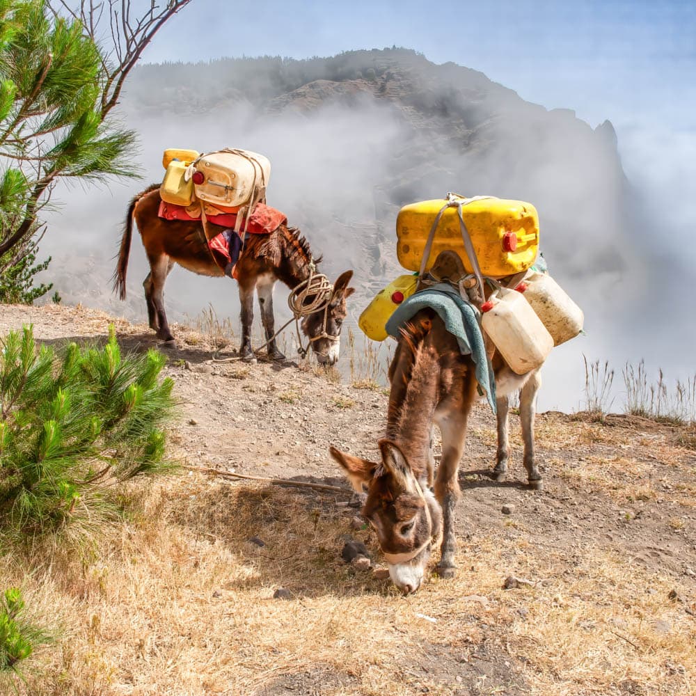 Cova - Paúl Trail, Santo Antao — Cabo Verde, Africa