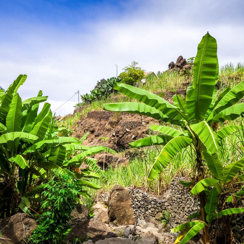 Cova - Paúl Trail, Santo Antao — 