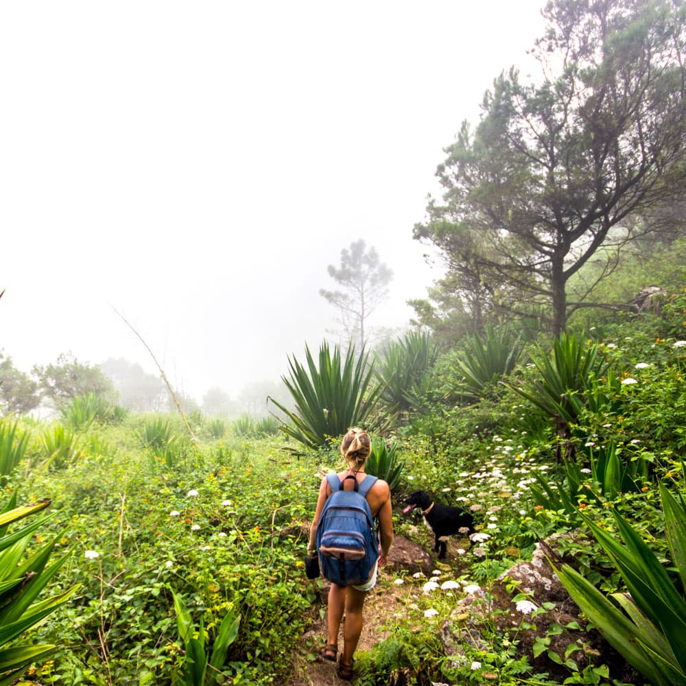 Monte Gordo Natural Park, Sao Nicolau