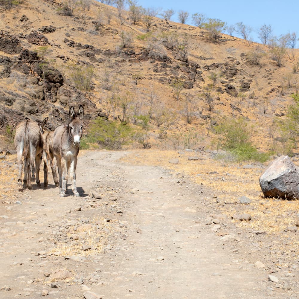 Rural São Vicente, Sao Vicente — Cabo Verde, Africa