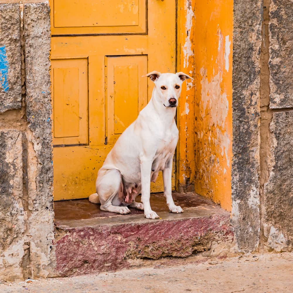 Sal Rei, Boa Vista — Cabo Verde, Africa