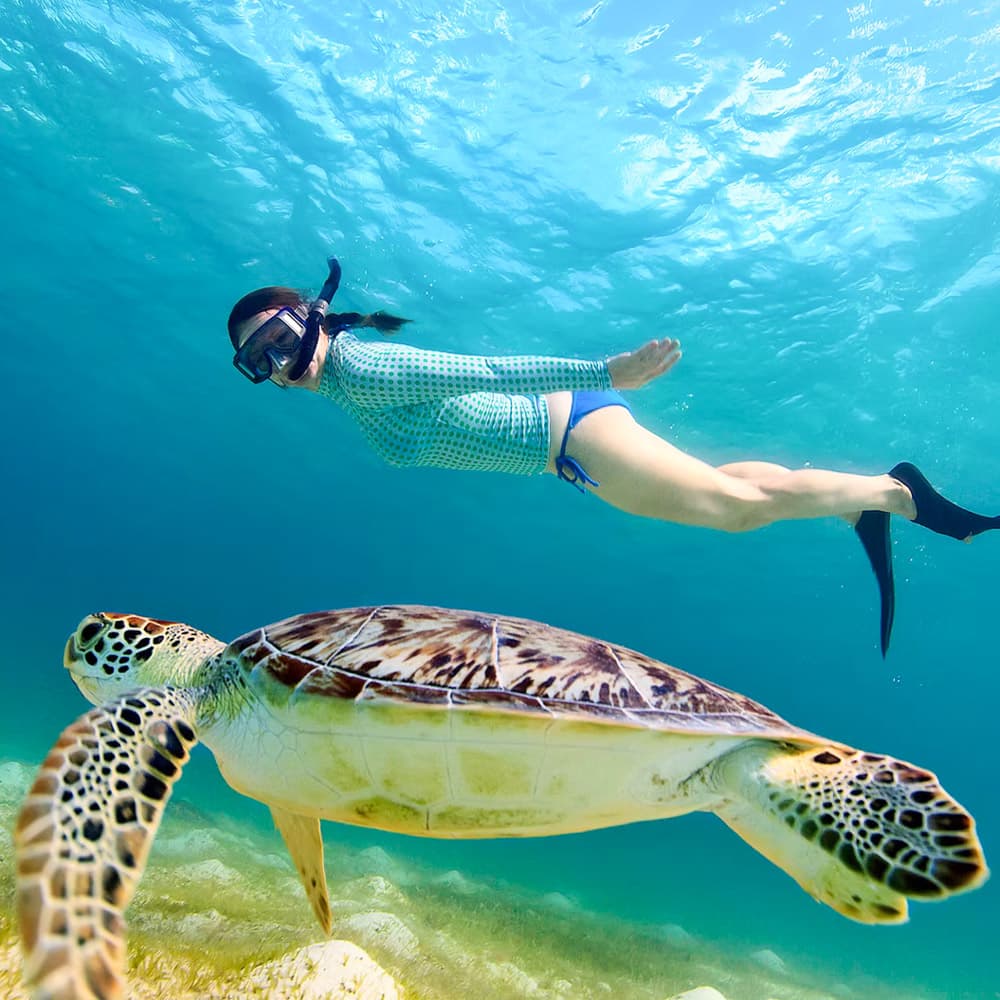 Sealife Experience, Sal — 