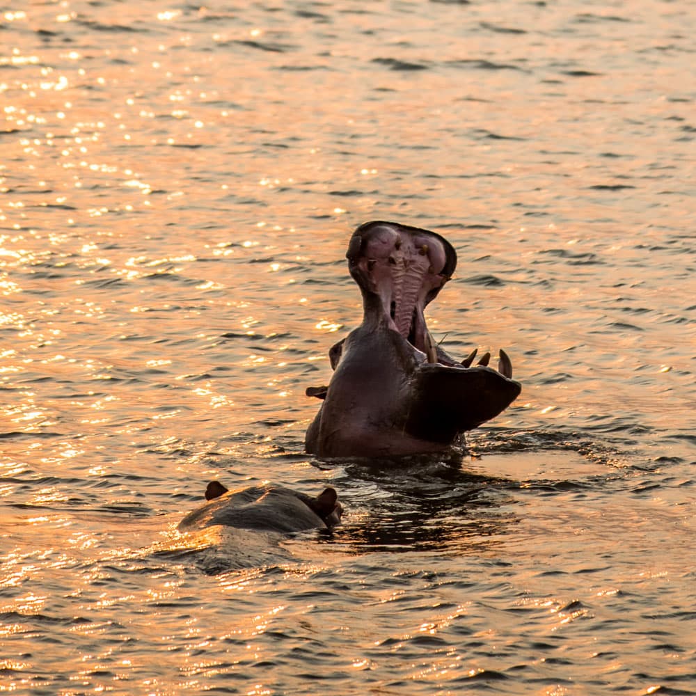 Ruvubu National Park — 