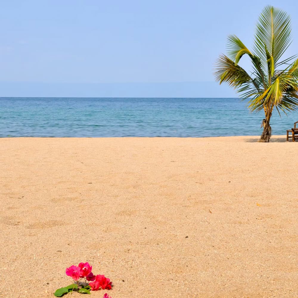 Tanganyika Bluebay Resort — 