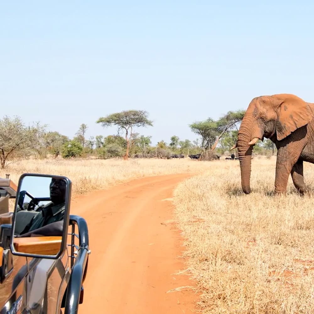 Singita Pamushana — 