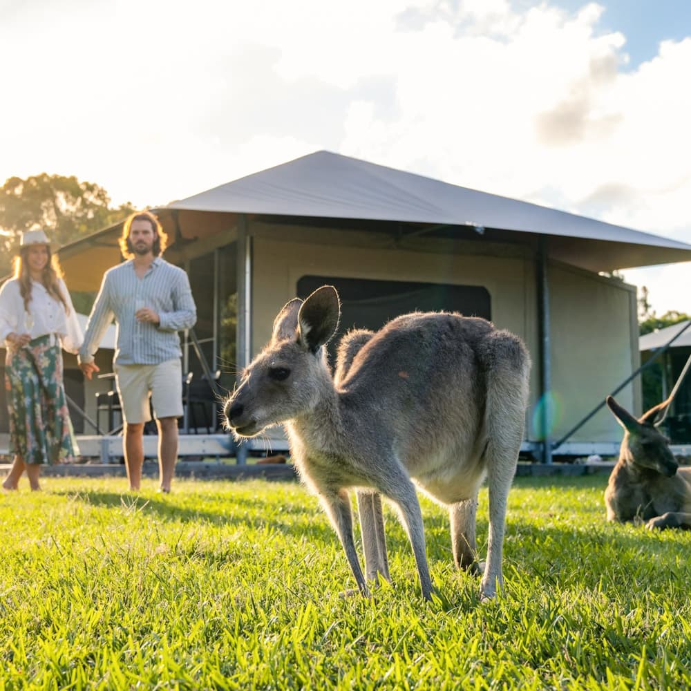 Habitat Noosa — 