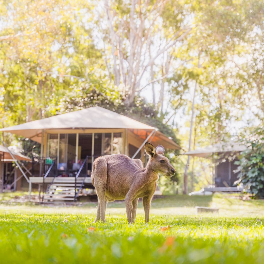 Habitat Noosa — 