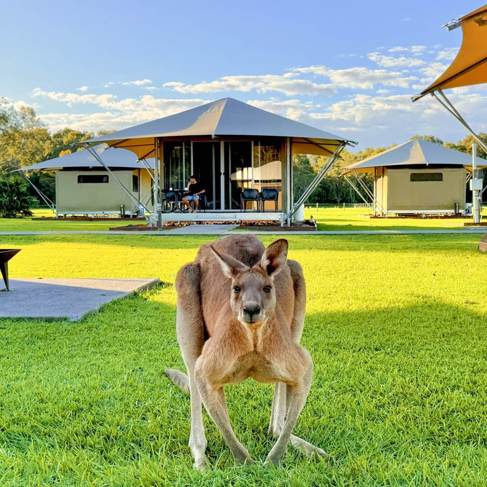 Habitat Noosa — Queensland, Australia, Oceania