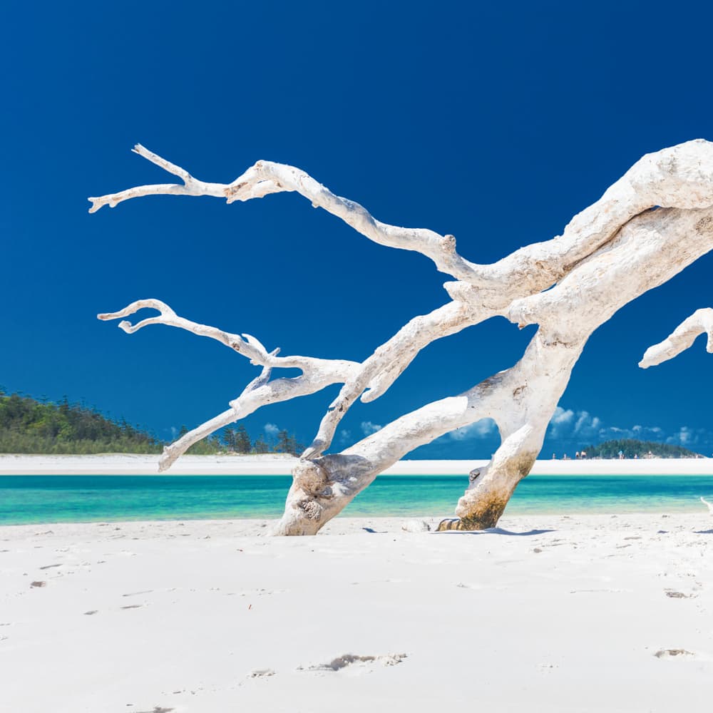 Whitehaven Beach — Queensland, Australia, Oceania