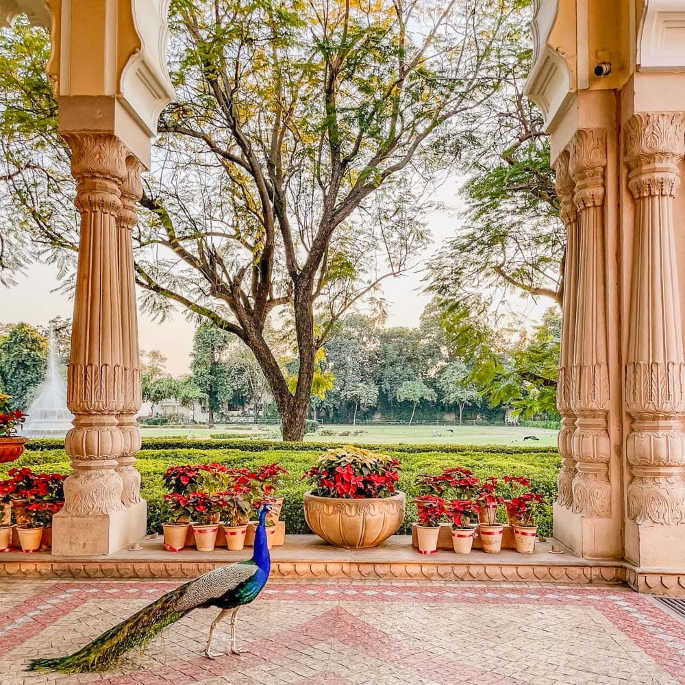 Rambagh Palace — 