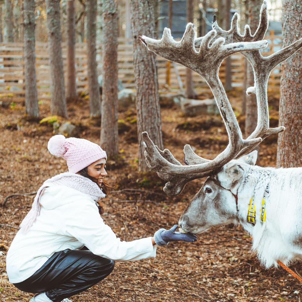 Apukka Resort — 