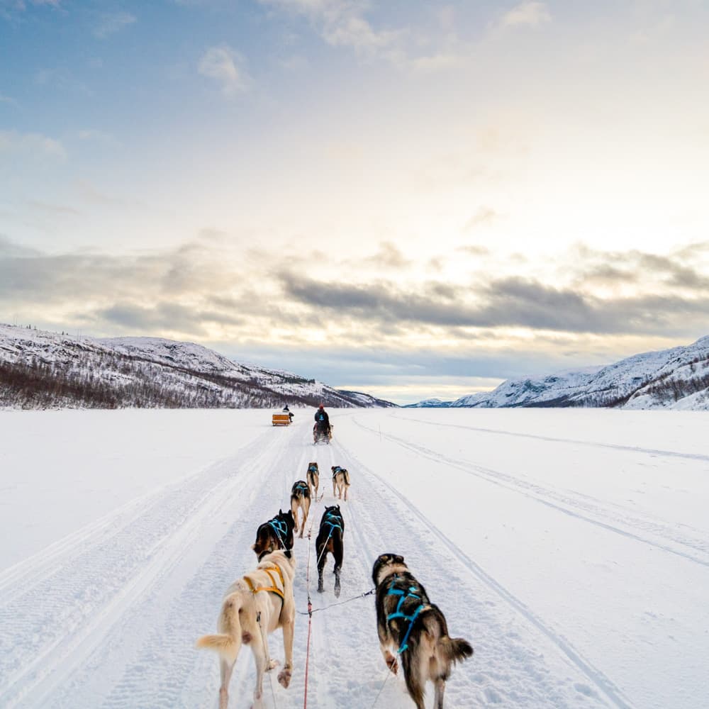 Snow Resort Kirkenes — 
