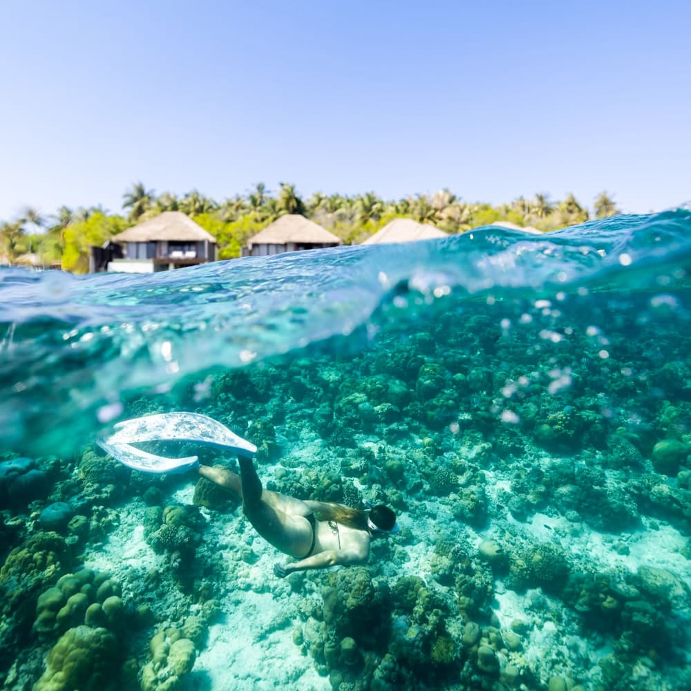 Dusit Thani Maldives — Maldives, Asia