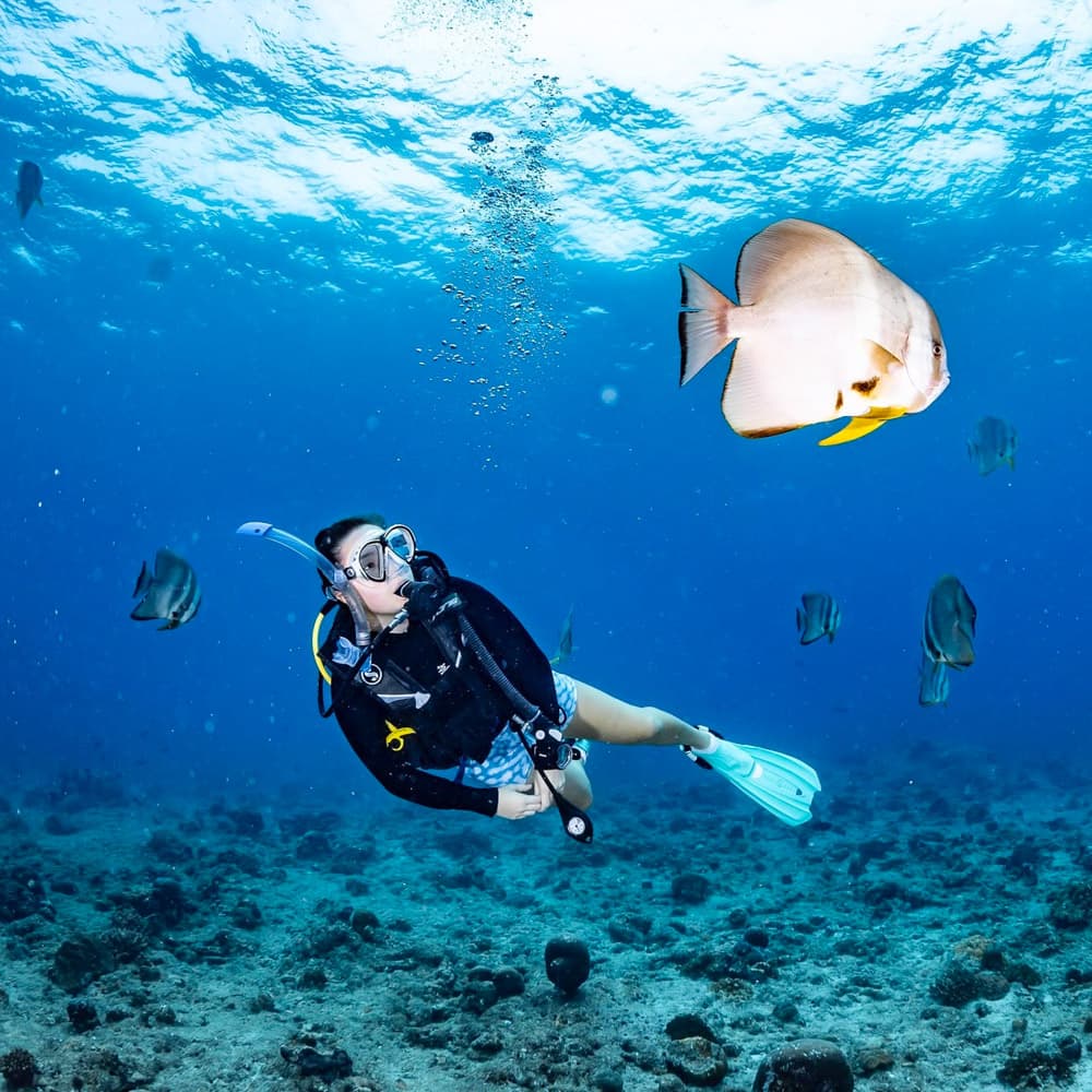Sheraton Maldives Full Moon Resort & Spa — 