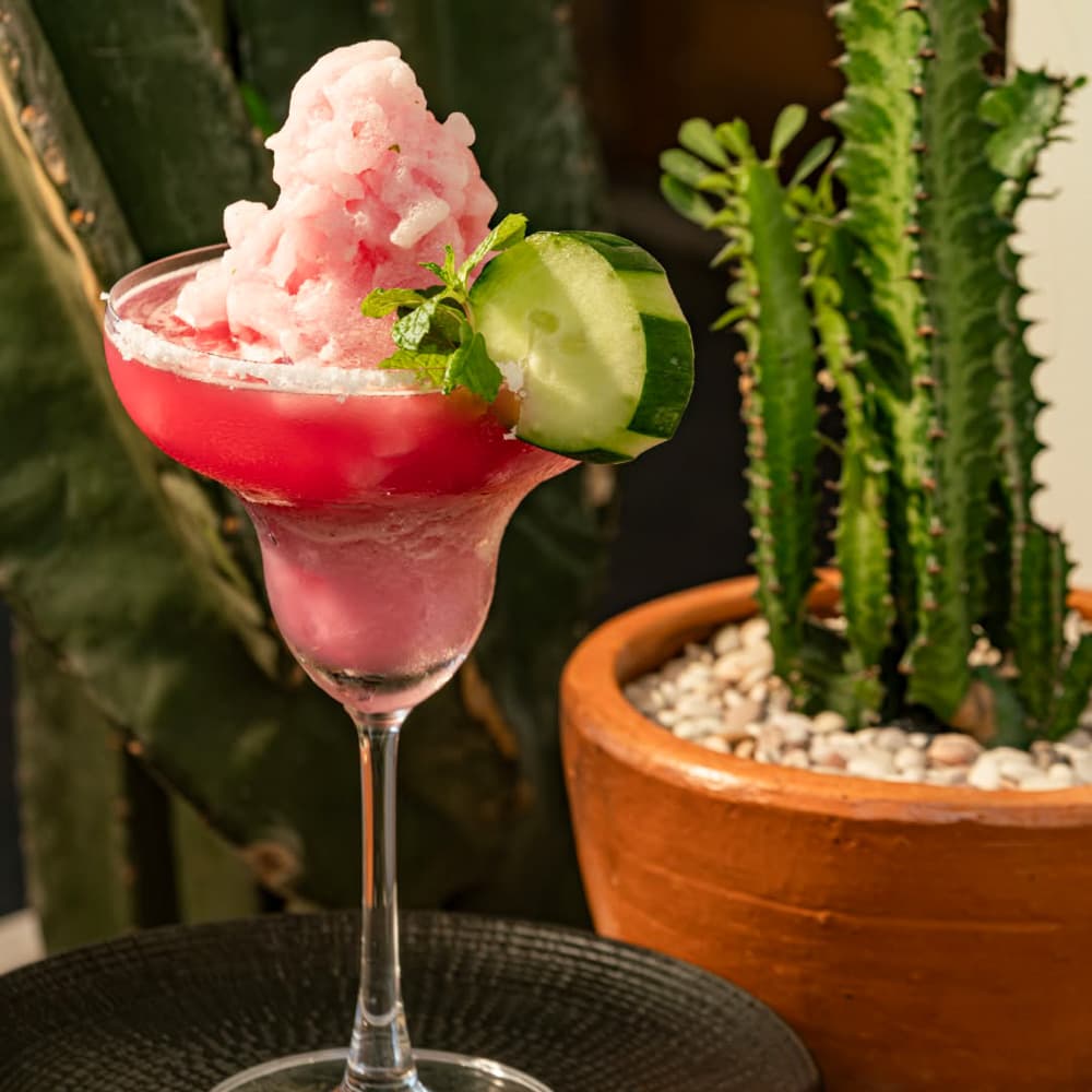 Lola's Cantina Mexicana — 