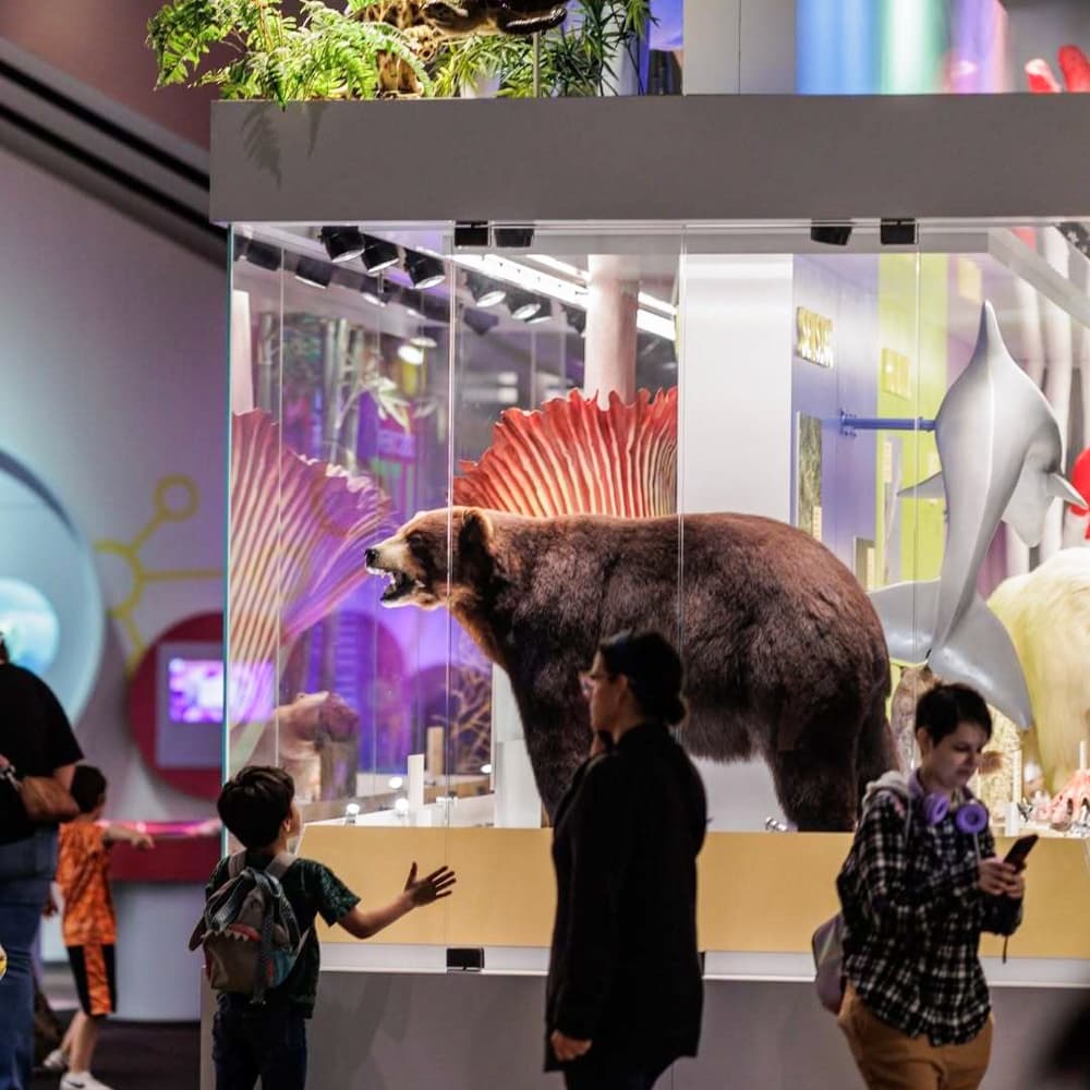Perot Museum of Nature & Science — Dallas, Texas, United States, North America