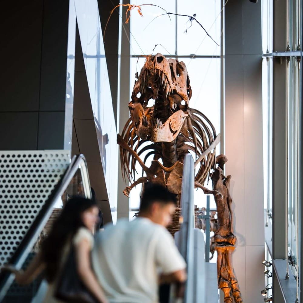 Perot Museum of Nature & Science — 