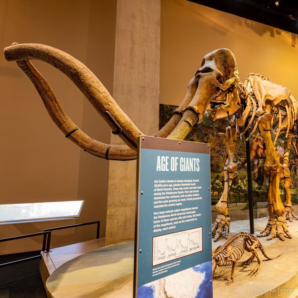 Perot Museum of Nature & Science — 