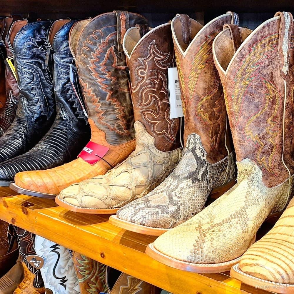 Wild Bill's Western Store — 