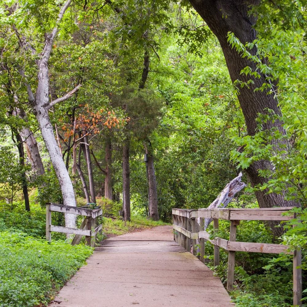 Katy Trail — 