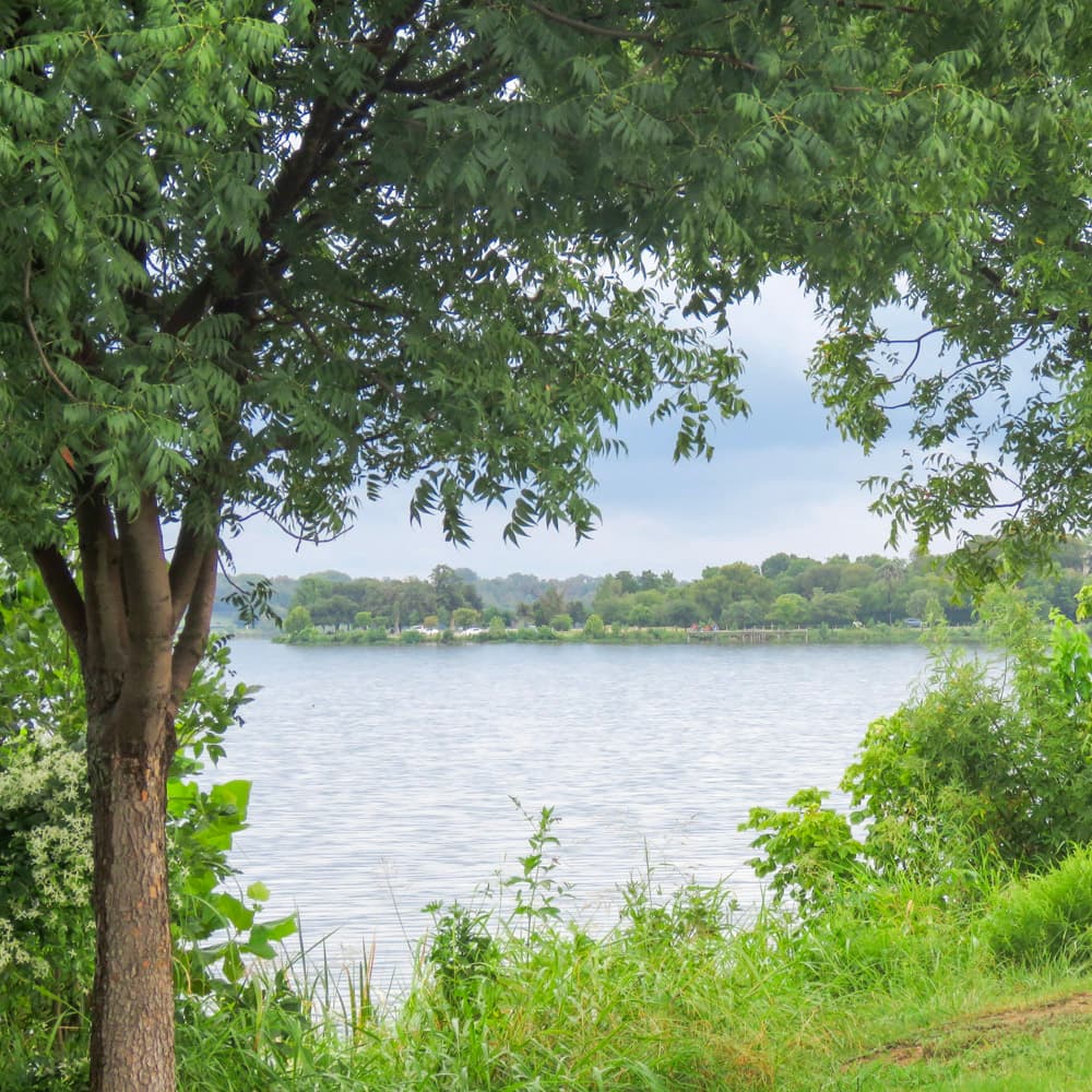 White Rock Lake — 