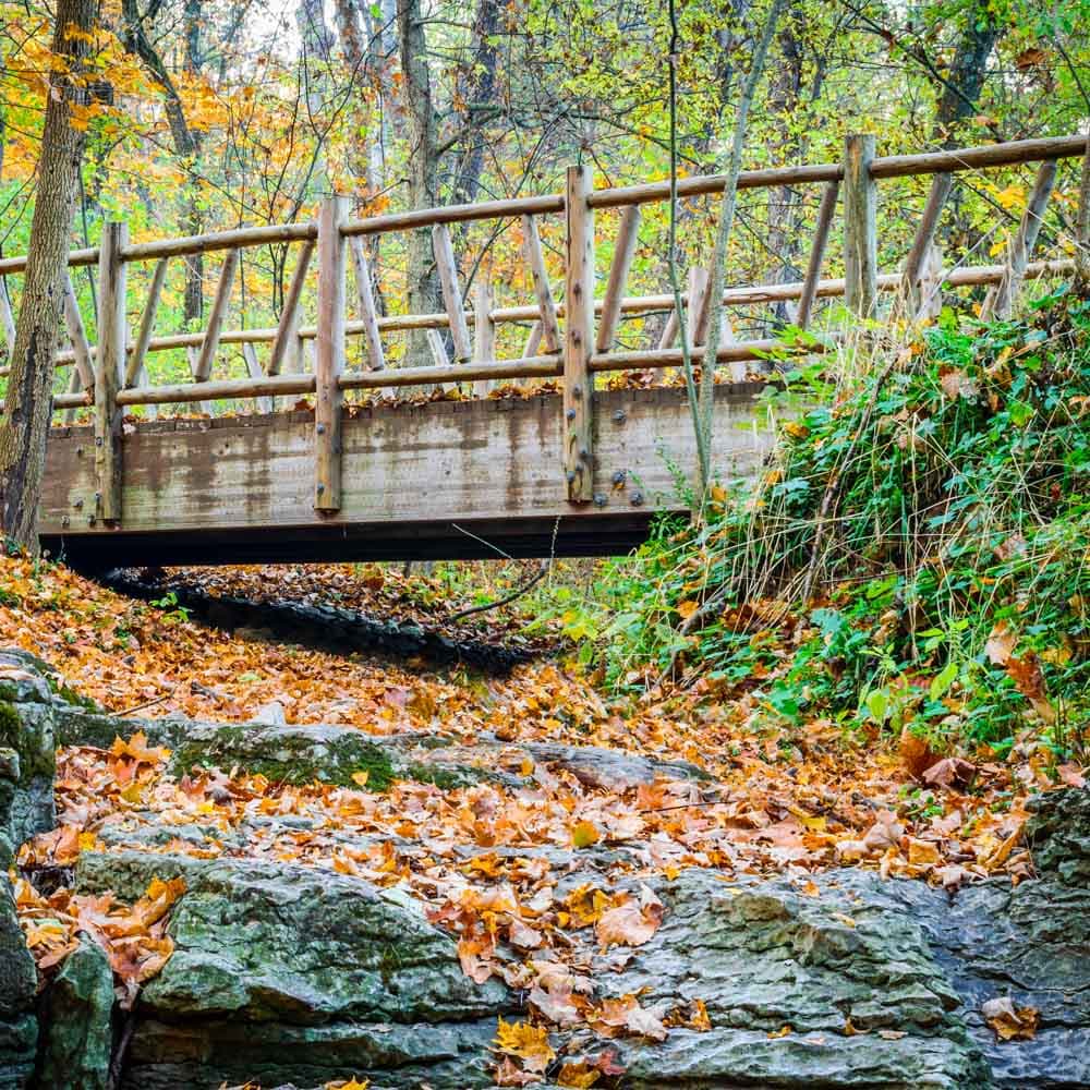 Cherokee Park — 