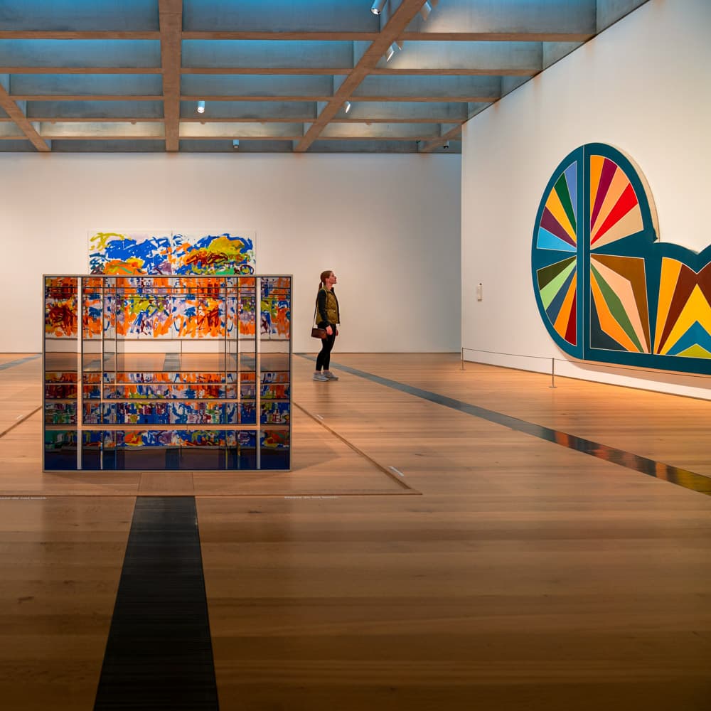 Saint Louis Art Museum — 