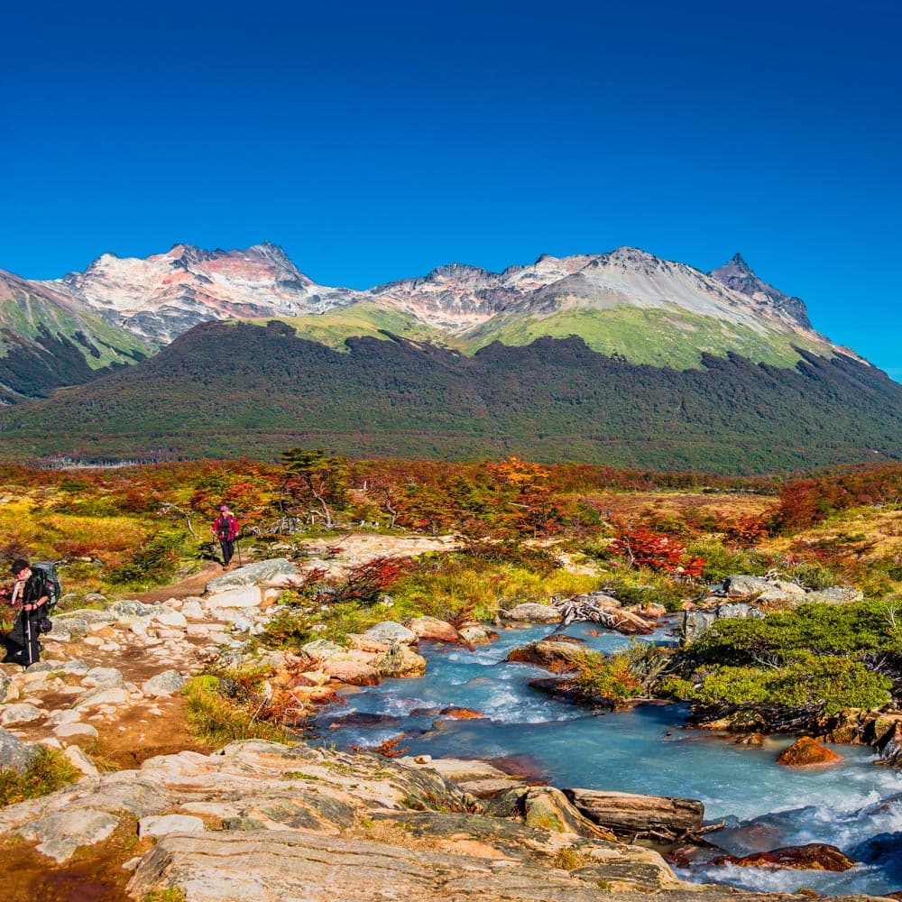 Tierra del Fuego National Park — Argentina, South America