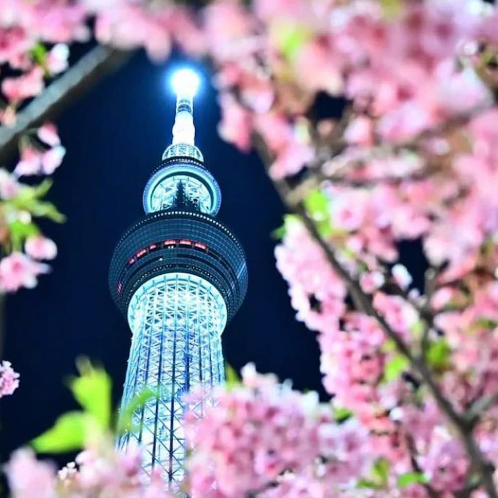 Tokyo Skytree — Tokyo, Japan, Asia