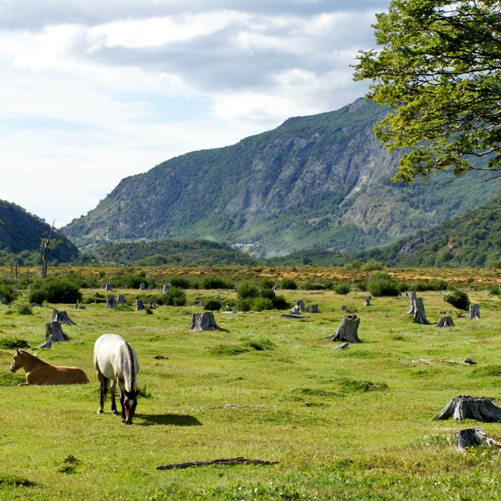 Tierra del Fuego National Park — 