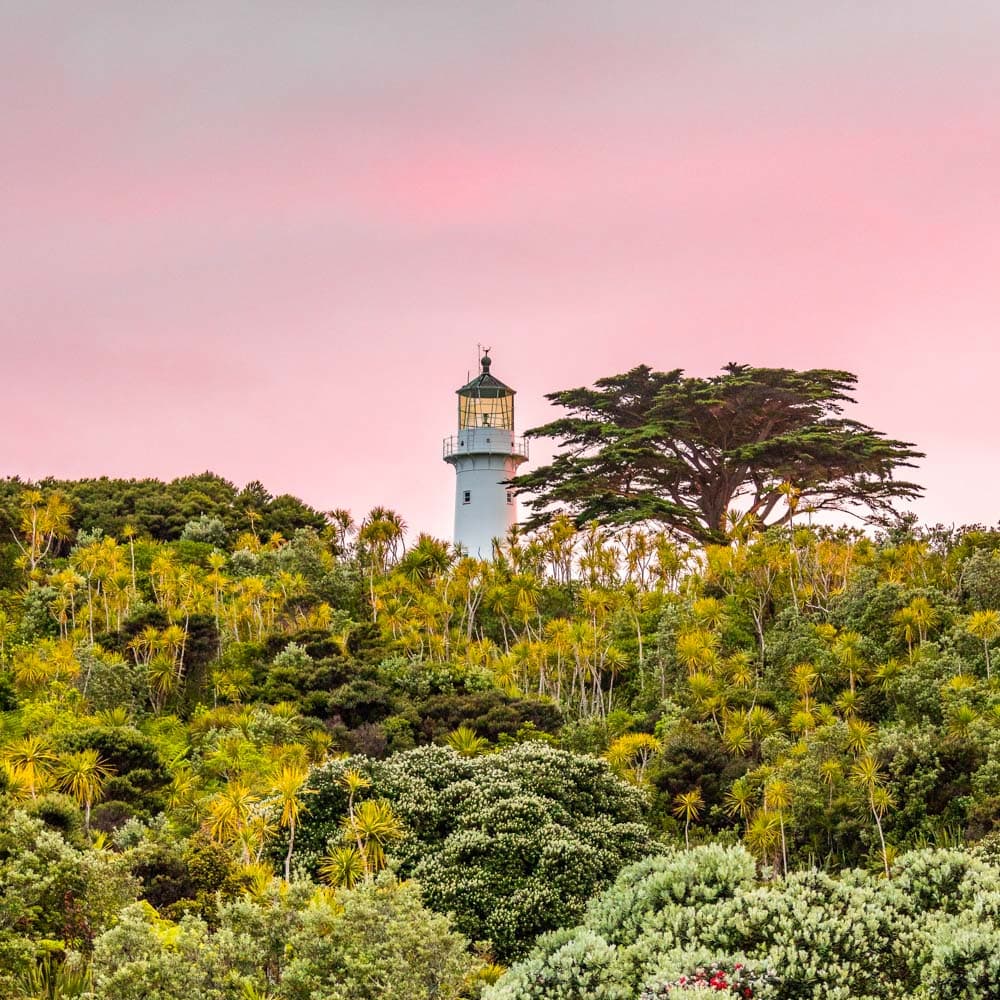 Tiritiri Matangi Island — 