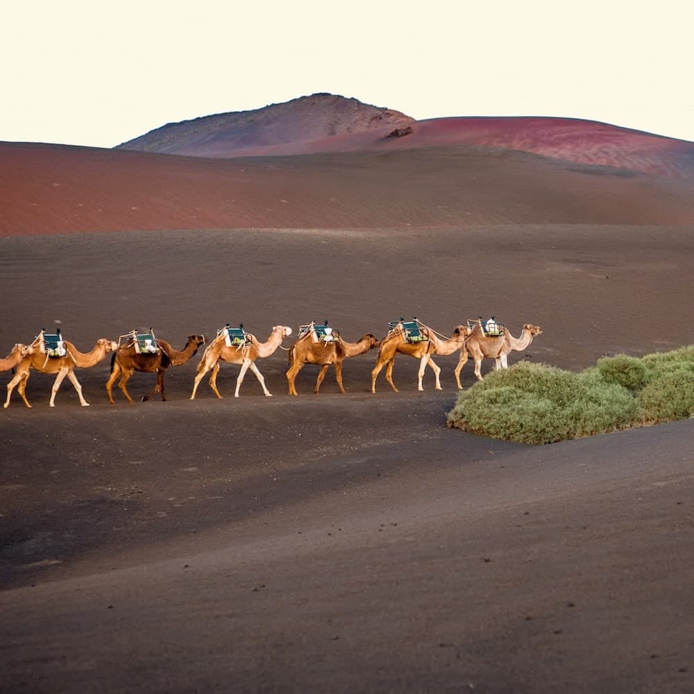 Timanfaya National Park, Lanzarote — 