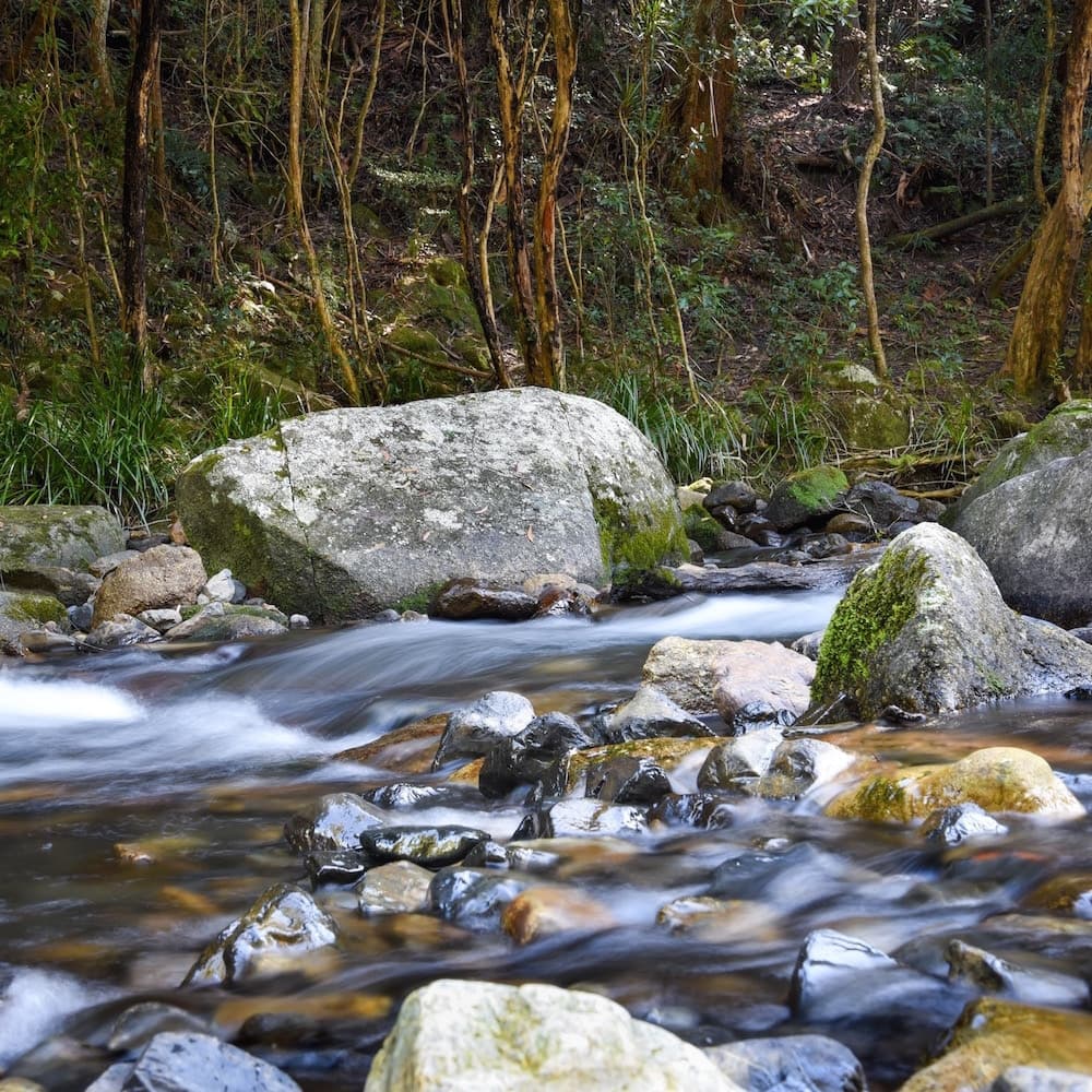 Never Never Creek — Bellingen, New South Wales, Australia, Oceania