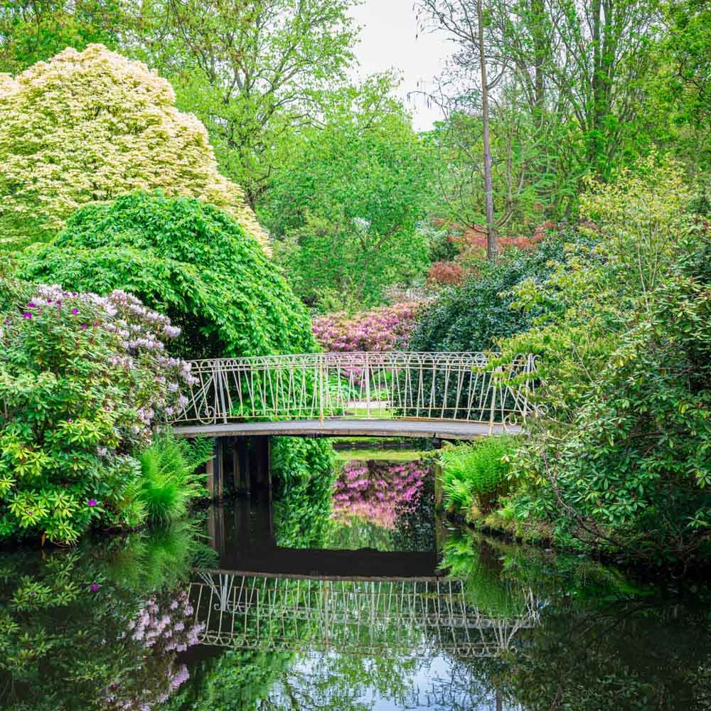 Trompenburg Gardens & Arboretuma — 