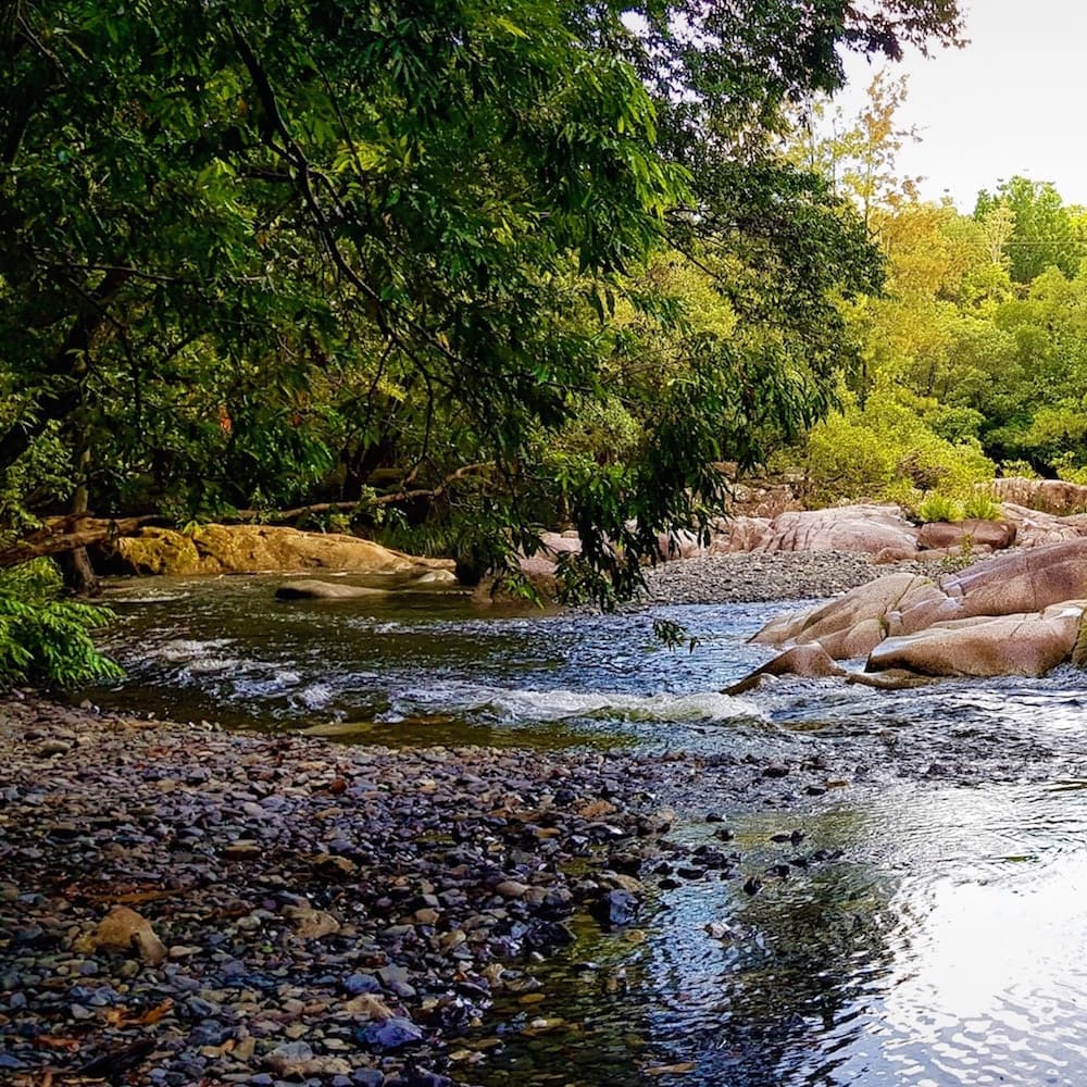 Bellinger River — Bellingen, New South Wales, Australia, Oceania