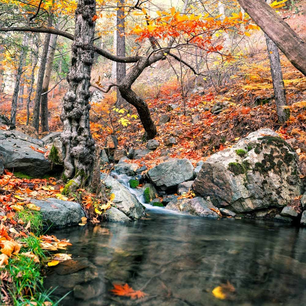 Troodos National Park — 