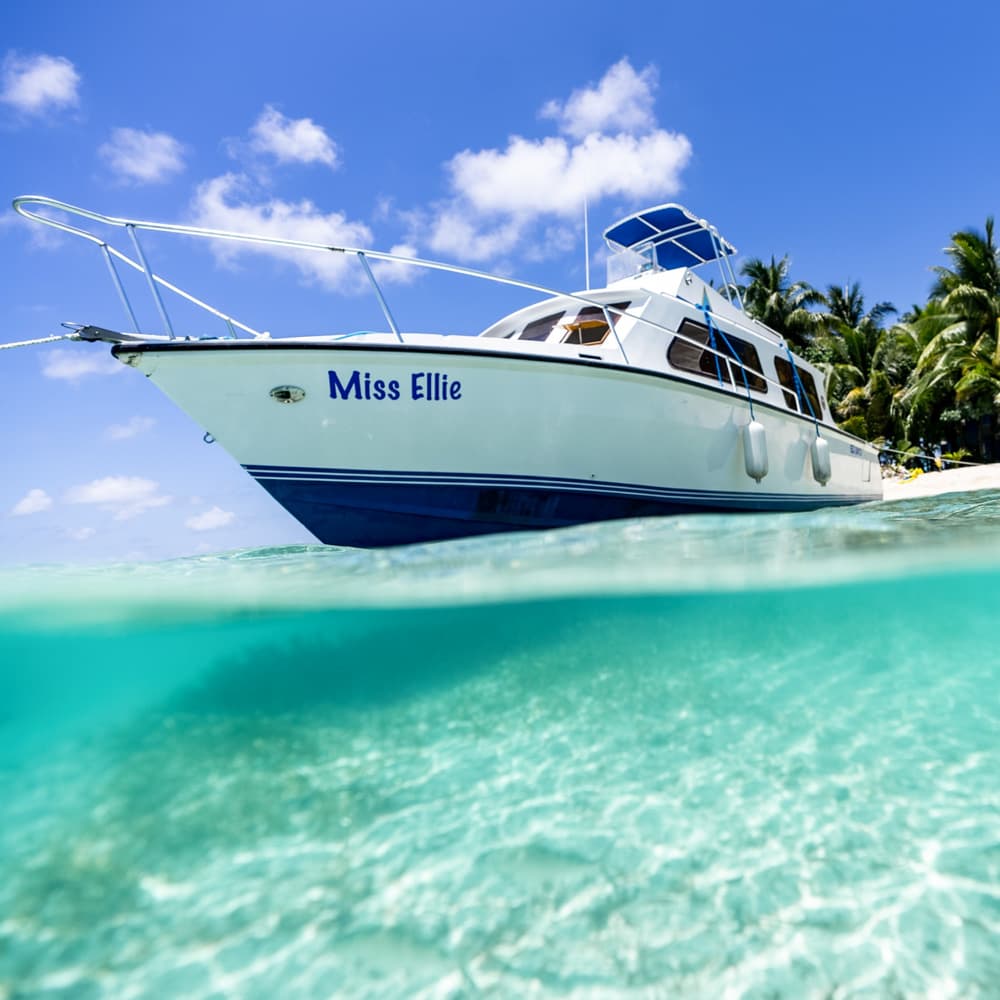 Turtle Inn — Belize, Central America