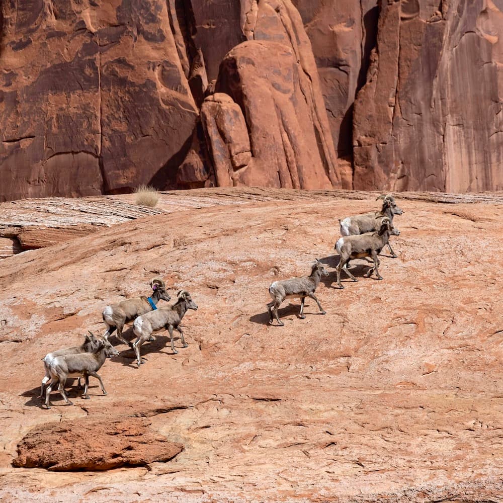 Wetherill Canyon — Arizona, United States, North America