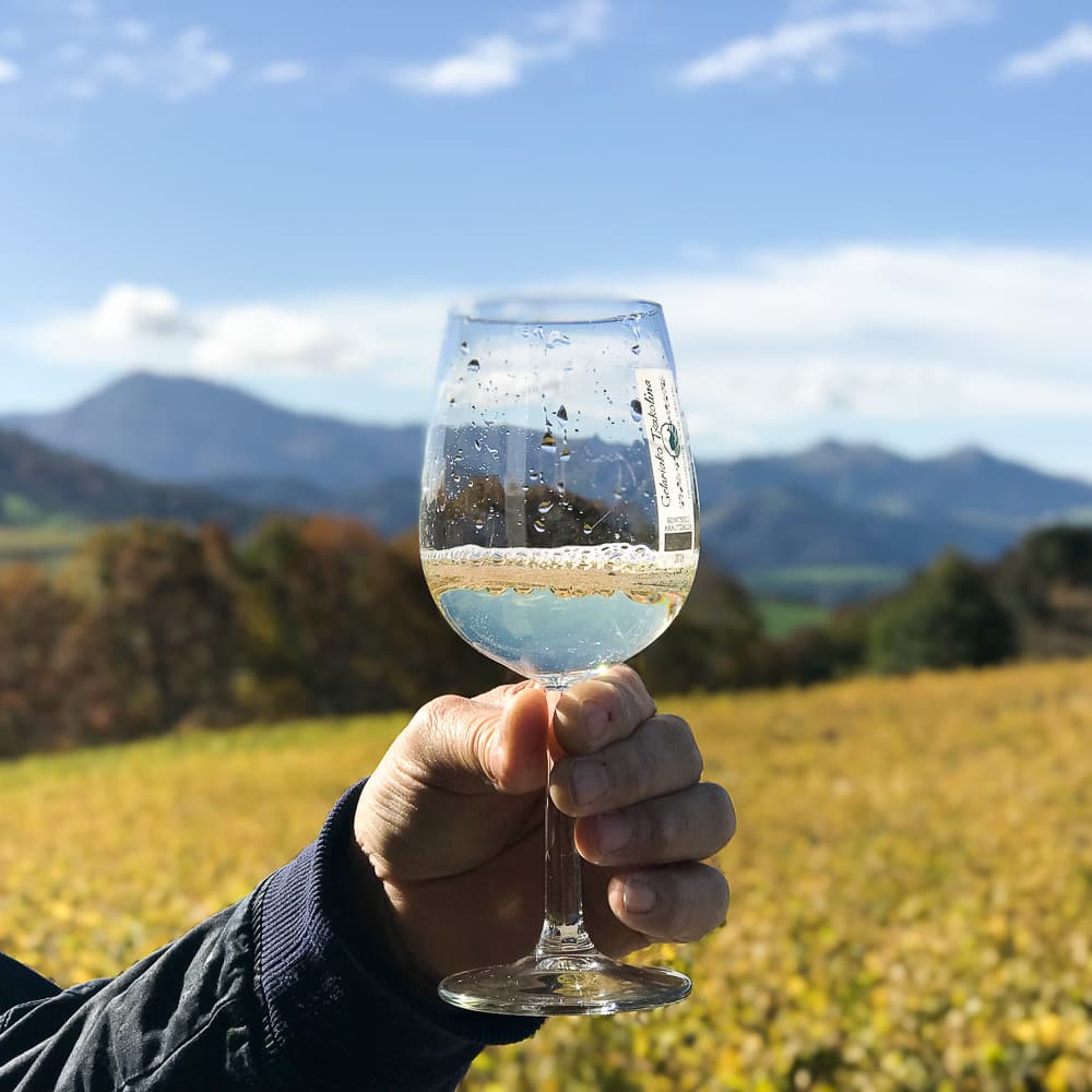 Txakoli Vineyards — 
