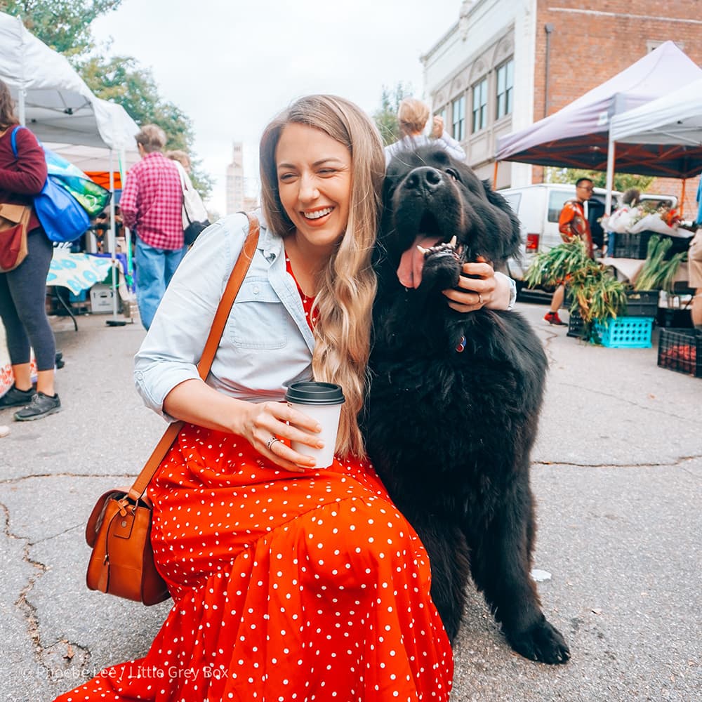 Asheville City Market — North Carolina, United States, North America