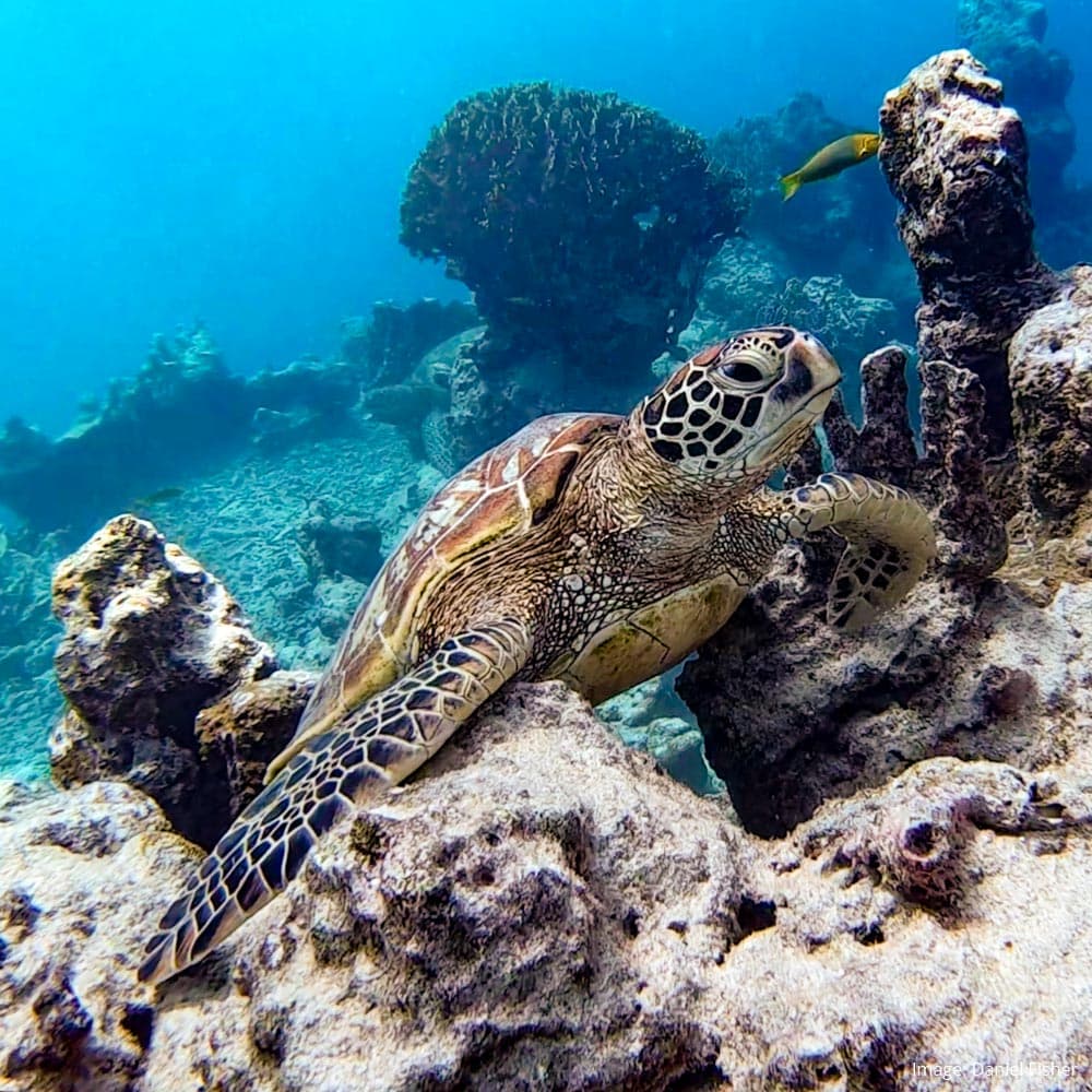 Avaavaroa Passage, Rarotonga — 
