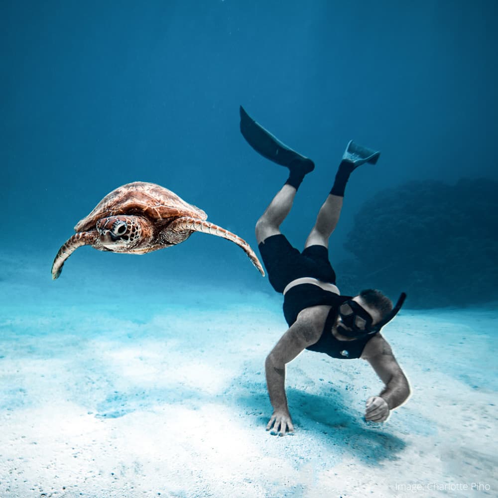 Dive Rarotonga — Cook Islands, Oceania