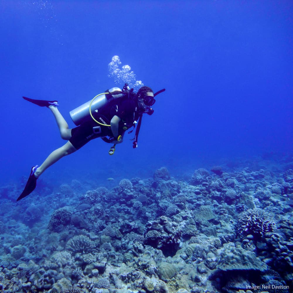 Edna's Anchor, Rarotonga — 