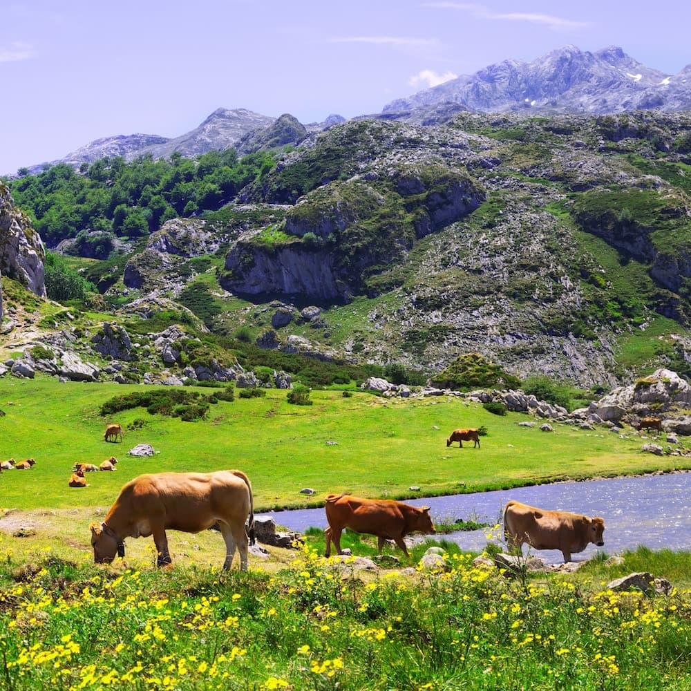 Lakes of Covadonga — Spain, Western Europe